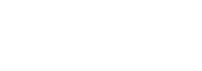 voice